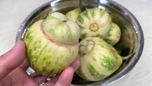 甜瓜美食爆料视频大全,解锁夏日清新美味新境界  第3张